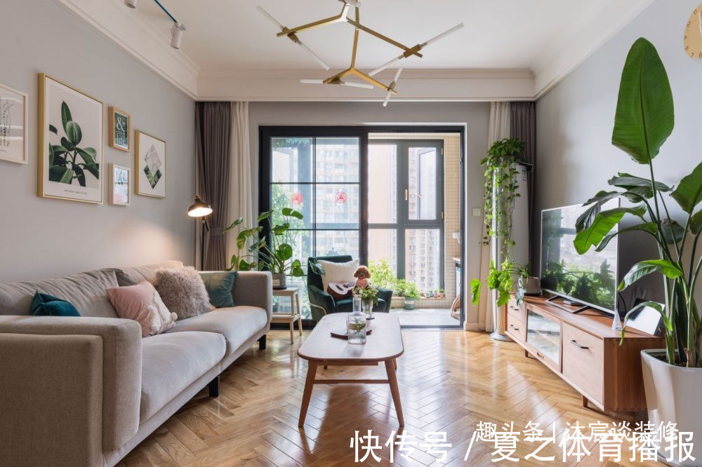 收纳|真的被她家给迷住了,全屋温暖大方,到处被绿植环绕,清新又自然