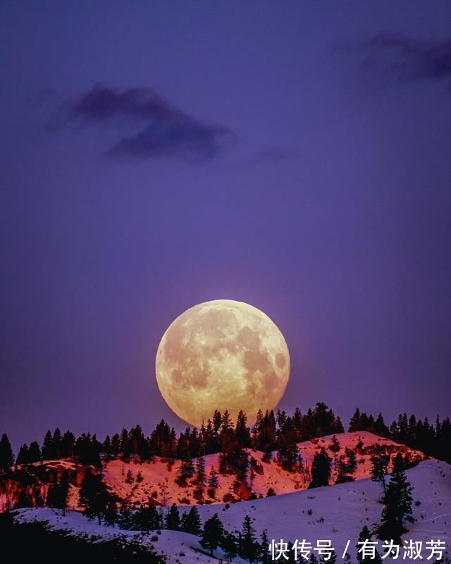 佳节$杜牧很著名的一首诗,秋天与老友一起爬山,短短8句清新流畅