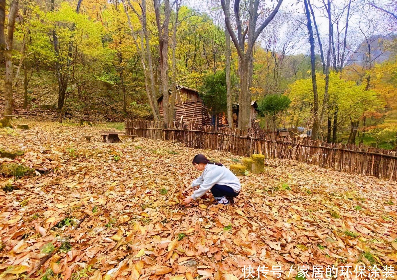 秋天|抓住秋天的尾巴，发现更美的秦岭