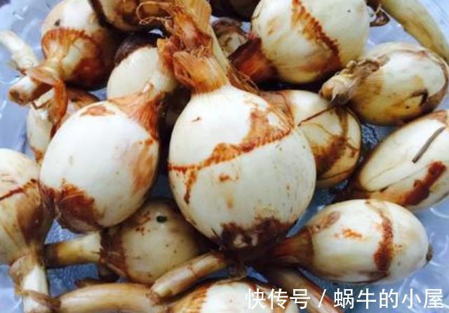 健康|孕妇少吃4种蔬菜,嘴巴再馋也要忌嘴,或对胎儿的健康不利