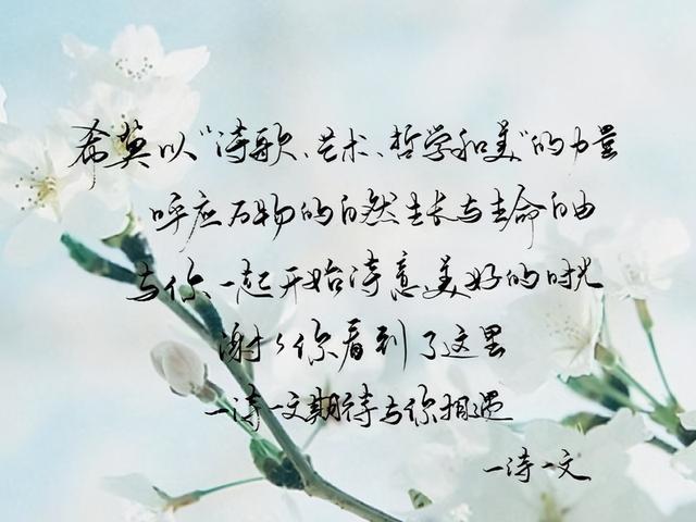 華篇#他們攀風附雅,而我是謫仙,吐不盡風光意氣,貪戀唐宋華篇