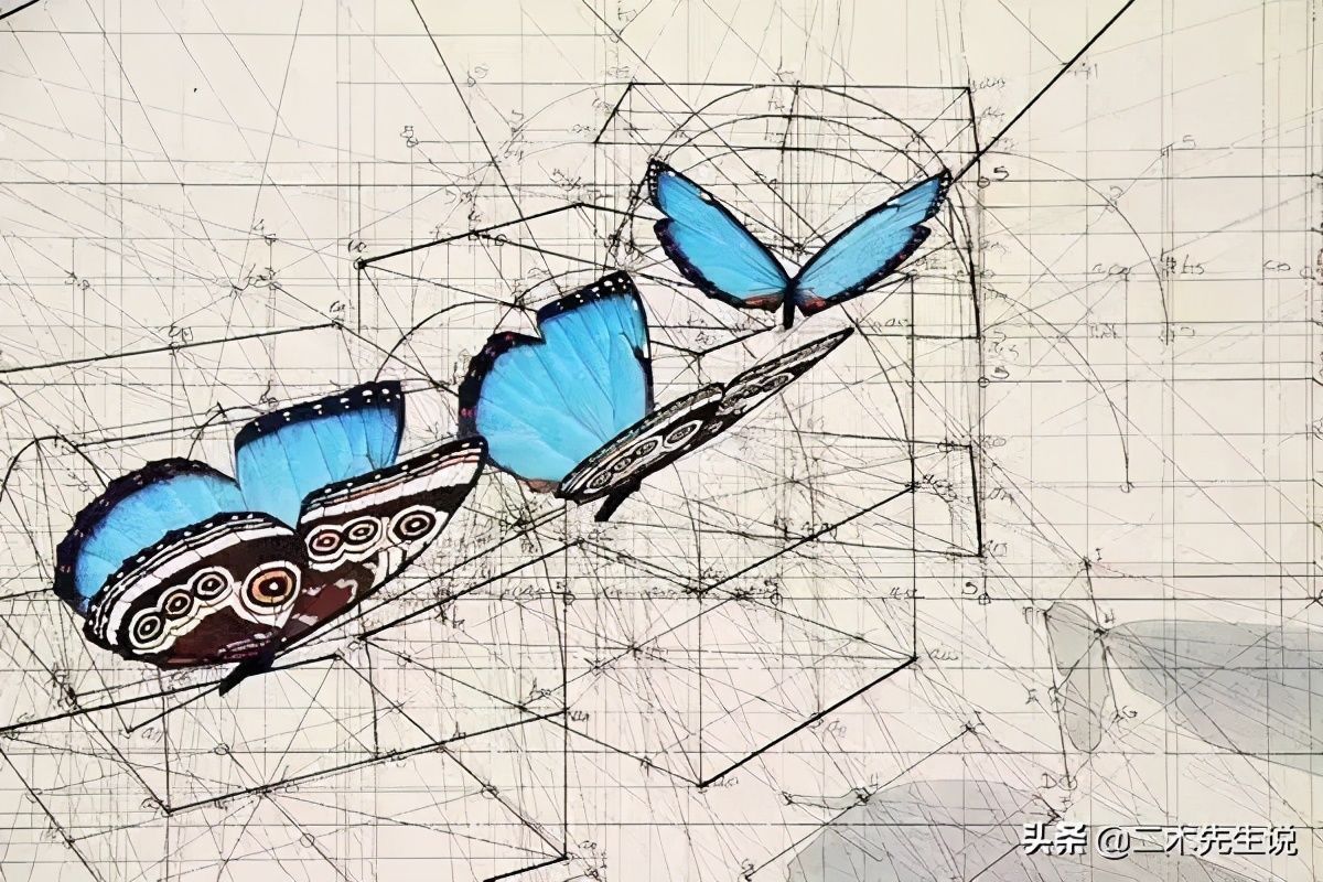 黄金比例!理工男花40年时间,用圆规画1000张画,黄金比例的拥护者