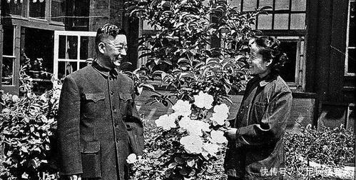 老舍先生投湖前说了什么?