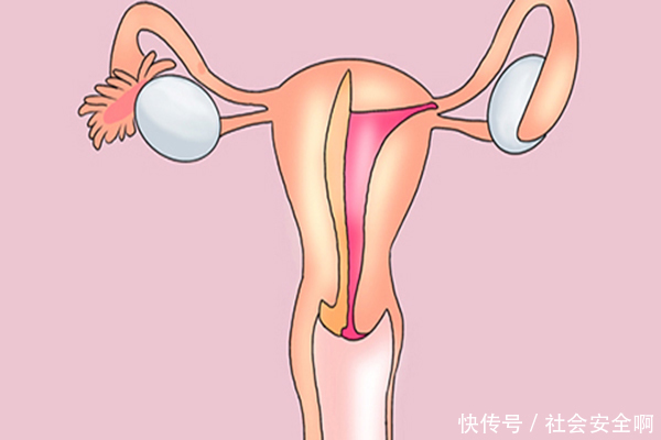 子宫内膜|女性摘除了子宫,除了不能生孩子,还会有3点变化,需做好护理