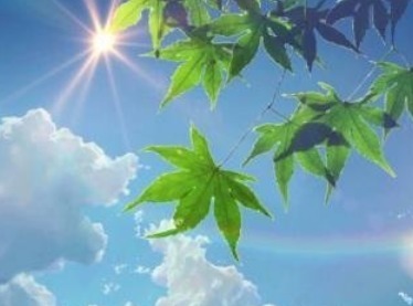 晴风|你以为的养生，其实是假的，真正的养生只有两个字