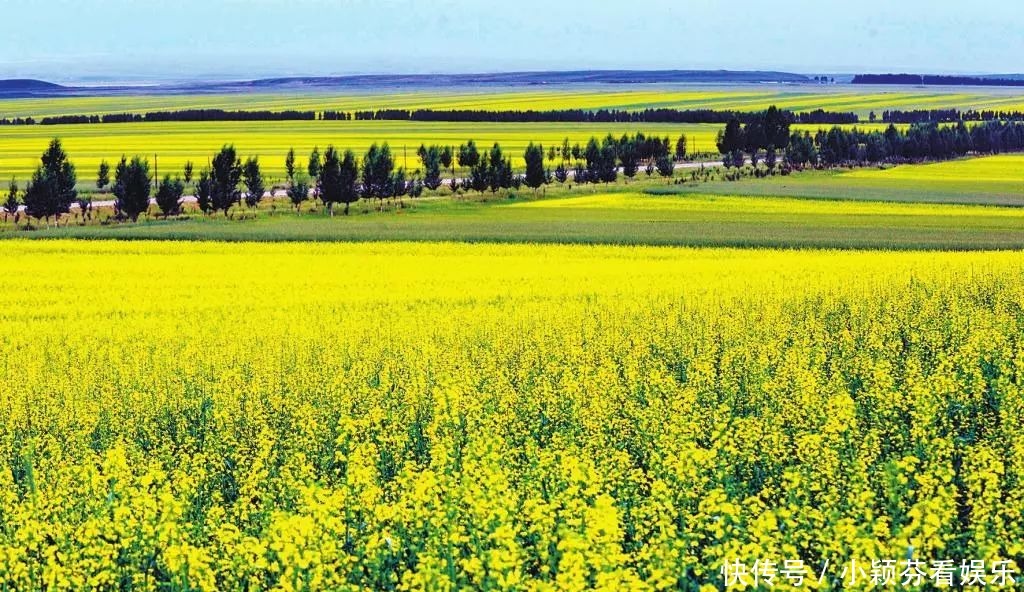 一首《可可托海的牧羊人》唱响春晚，让伊犁惊艳了全世界！