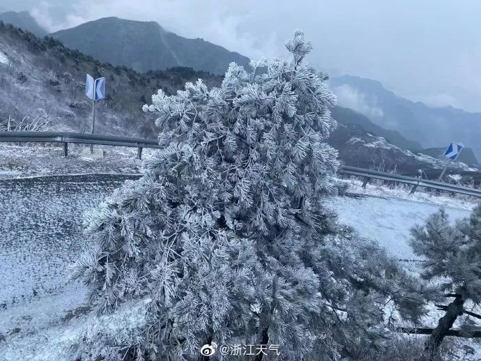 新闻记者|浙江多地下雪！一地积雪厚度达3公分……