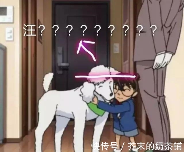 动漫|动漫中迷惑的身高比,康一撞到了承太郎膝盖,柯南活在巨人世界