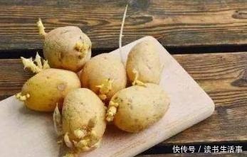 这发芽的土豆到底能不能吃原来三十多年一直误解了,快叮嘱家人