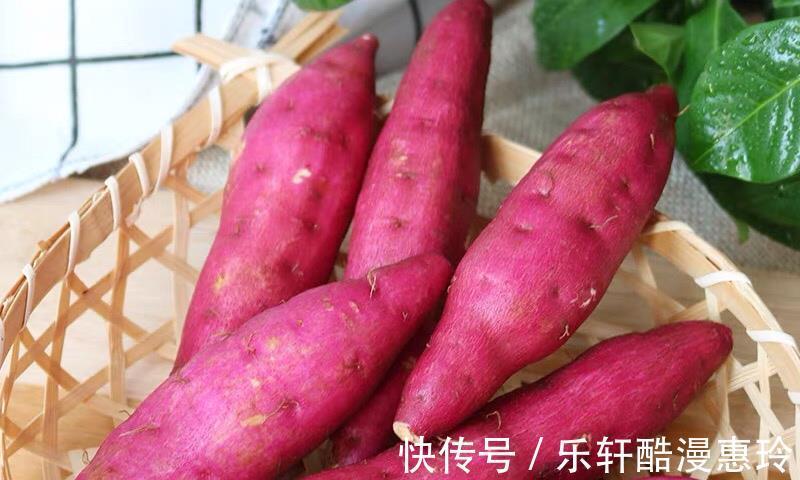 鸡腿|立冬了,有钱没钱多吃地下五宝,营养高又便宜,应季而食平安过冬