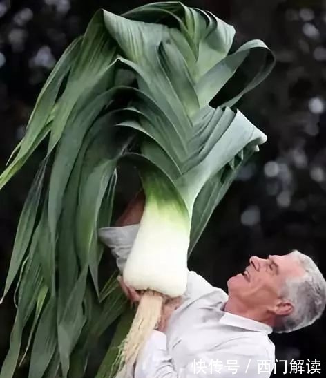 你绝对没见过的奇特的瓜果蔬菜!大开眼界!