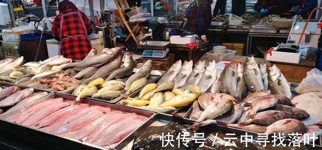 带鱼|被误解很深的一种鱼，比带鱼营养，比鲫鱼鲜，却因长相丑被人嫌弃！