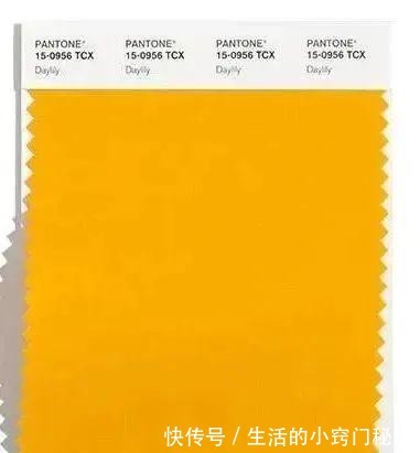 色彩 2021年十大秋冬流行色来了,很美很特别,你的衣橱中有几个!