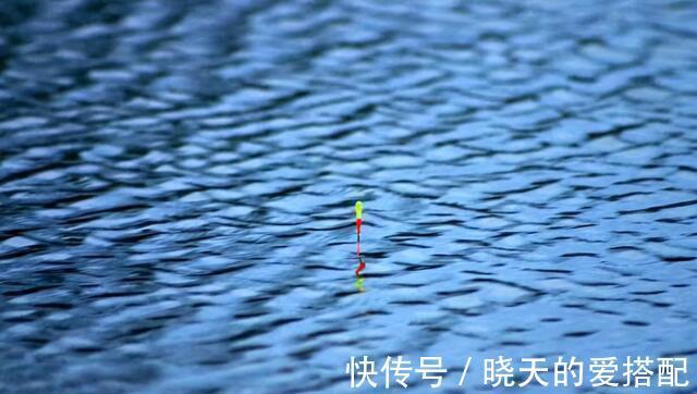 水温|为何入秋之后，水库守钓始终没鱼口，不是没鱼，而是几个因素