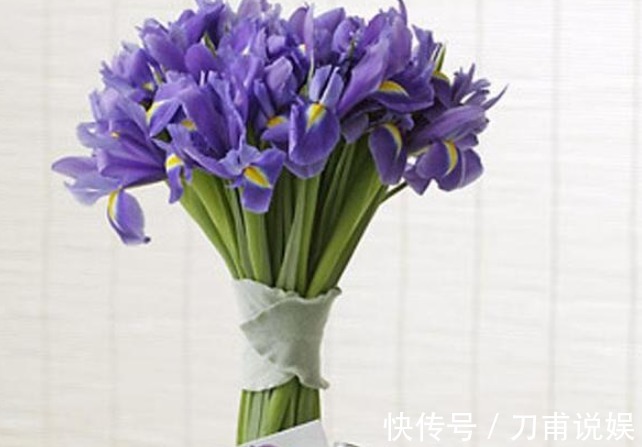 吊兰|家里人容易“散财”,一旦养了这3种花,感觉一分钱都不会丢!