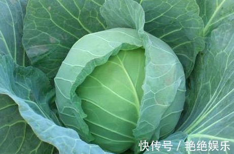 野菜|以下3种野菜能强身健体，生津补肝，降三高，值得称赞