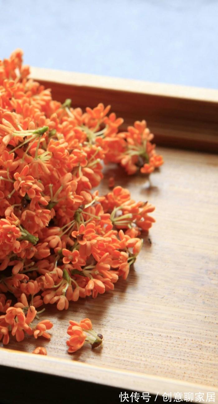 桂花|6种“黄金花”,秋天最好养,客厅摆一排,财气满满花爆棚