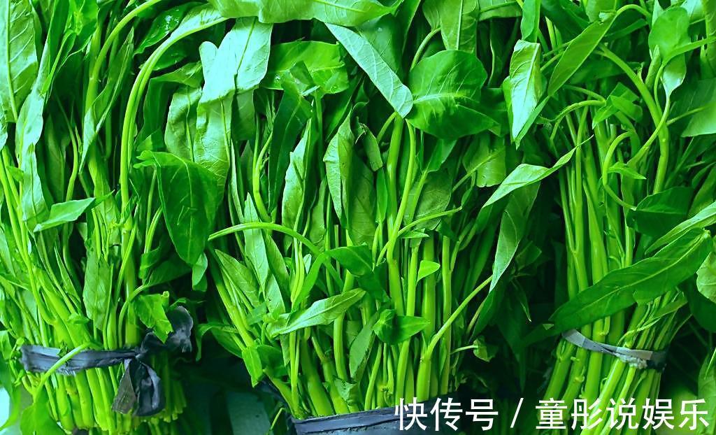 小知识|空心菜为何一炒就黑,原来“第一步”就搞错了,难怪家人不喜欢吃