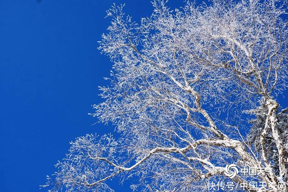 仙境|黑龙江第一峰现雾凇景观 堪比仙境