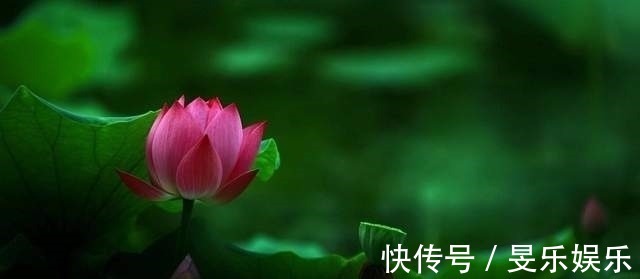 梦溪笔谈#易经:一个人常常沉静,虚空自己,则有如神助