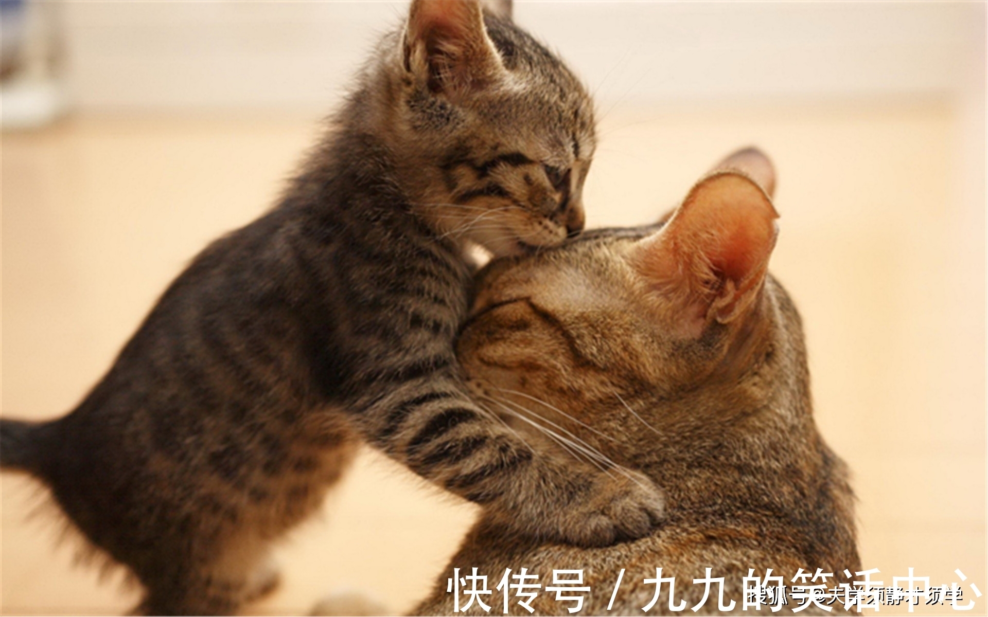 |内涵段子:晚饭过后,老公对我说道:媳妇,我要戒烟了!