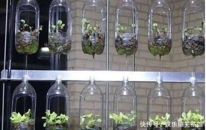 家里这几种东西不要扔掉,都十分的实用,扔掉你会后悔的