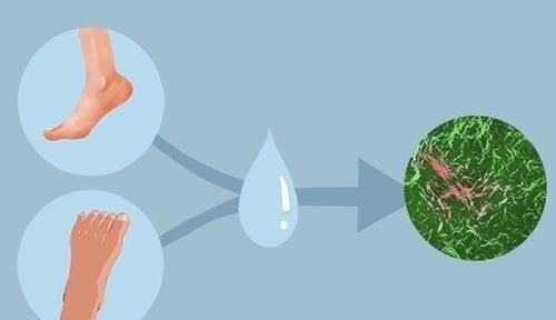 女性|男性的袜子和内裤，能一起洗吗？女性的呢？答案或和你预想的不同