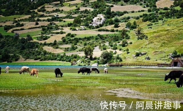 洛隆|自驾西藏走G349，曾被评为“中国最美自驾公路”，途中风景超壮美