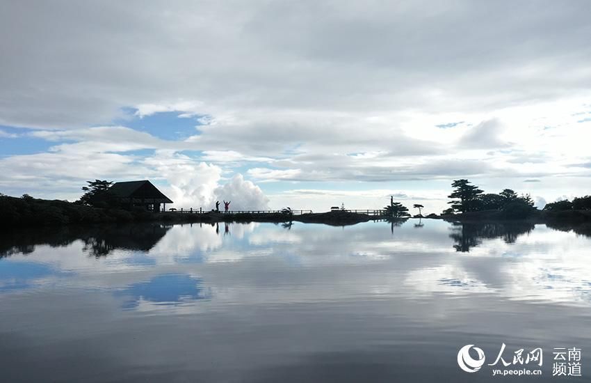 多样性|云南轿子山打造100亩高山杜鹃基因库