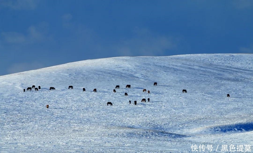 比东北“亚雪”还美的公路，这条小众边境天路，资深驴友都想去！