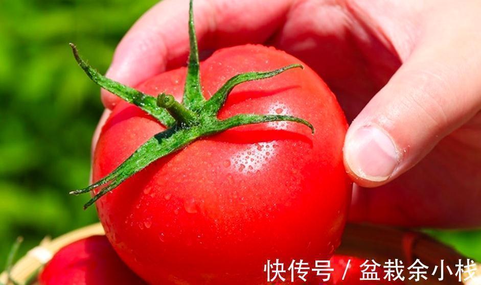 维生素c|秋天女性多吃这8种食物,维C丰富营养高,应季新鲜,价格便宜