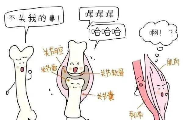 恢复|为什么一定要做产后康复？ 10年前不听劝没产后恢复，10年后她后悔了.....