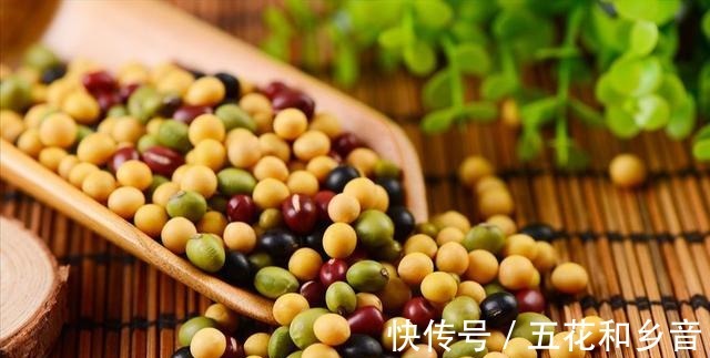 老话说“冬吃豆、赛过肉”，入冬后多吃什么豆很多人还不知道！