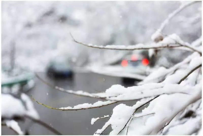 终究|终究是雪，温润了临潼的时光——