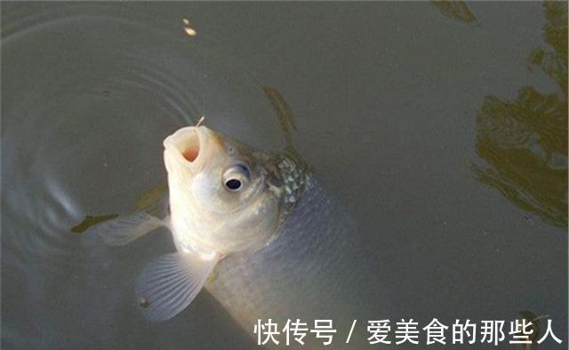 冬季钓鱼,核心技巧只有这2个,牢记这2招,天气多冷也能钓爆护