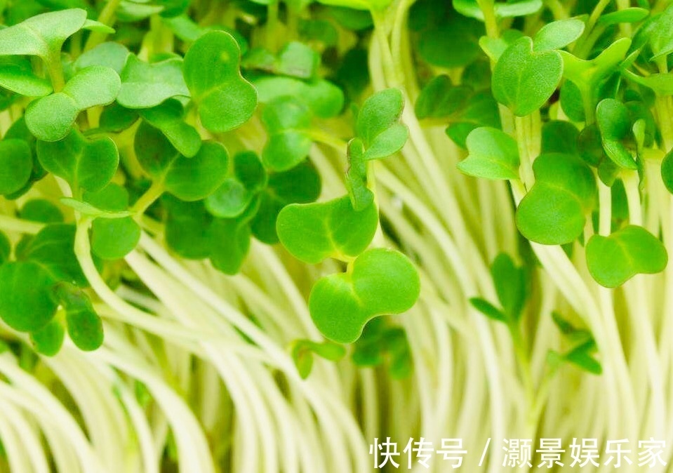 乳腺癌|女性不想得卵巢癌，每天食此菜，防乳腺癌，让女性身体越来越健康