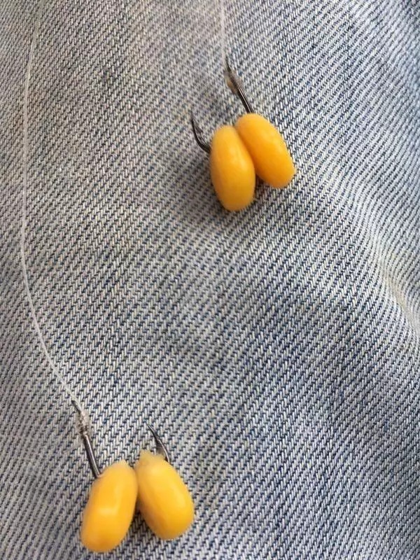 小鱼闹窝,教你几招,其中一招“以毒攻毒”极端法,百试百灵