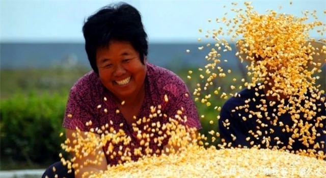 中国|经济学家王福重:农民的辛苦,其实是真正的懒惰