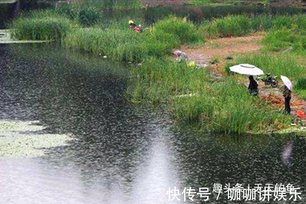 鲤鱼这样钓才够狠,这些秘诀是连竿上鱼的关键,夏天不用就亏了!