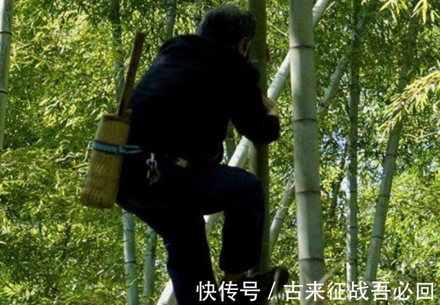 技艺|竹海飞人8岁爬竹子，年过半百仍在竹上行走，今无人传承境地尴尬