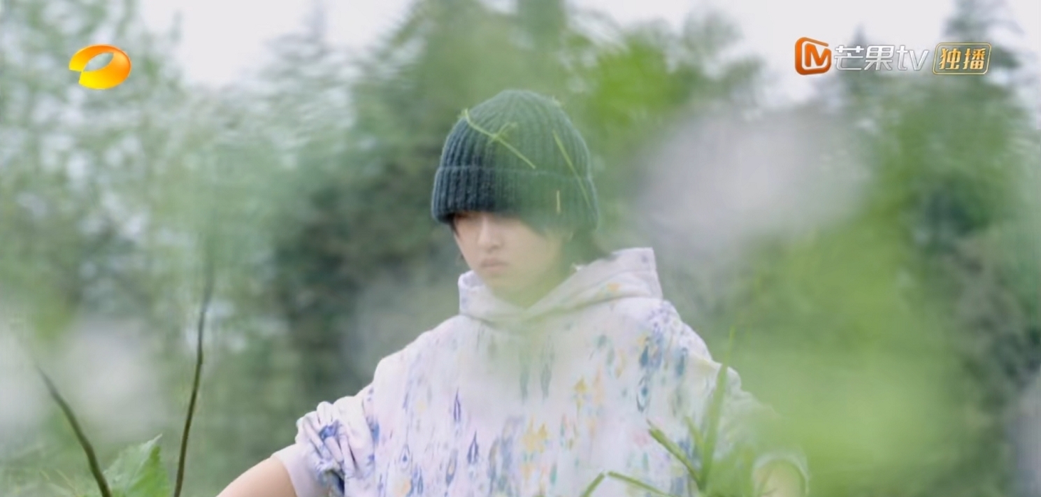 贡献 彭昱畅离开《向往5》,走前做出两大贡献,和陈赫李诞成鲜明对比