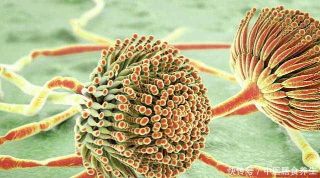 躲在卫生间里的这东西,可能会产生黄曲霉,为了家人,要及时处理!