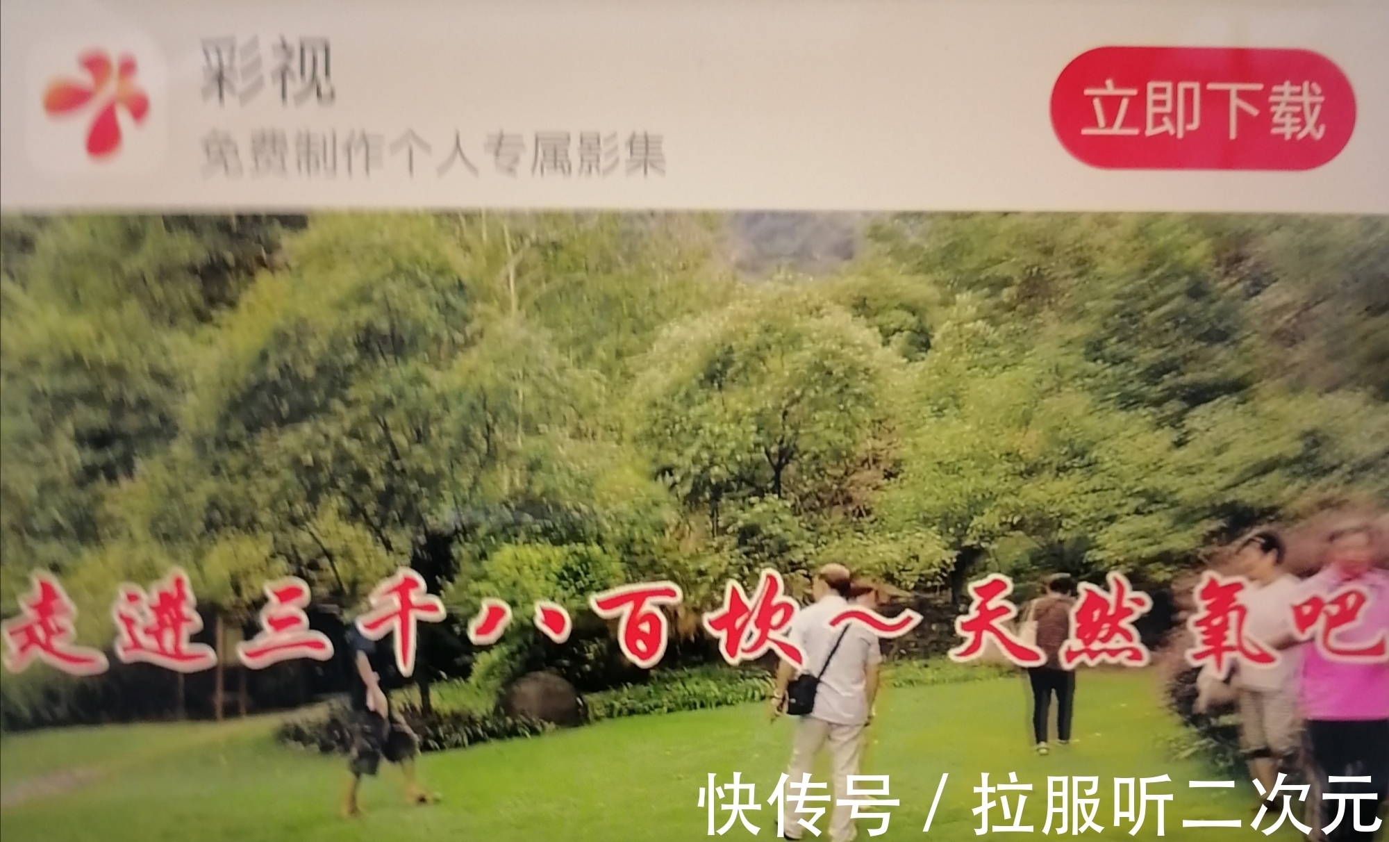 赣古道|为彩视《走进三千八百坎》而作