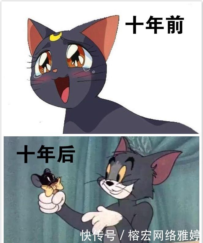 猫和老鼠|十年前vs十年后，小黄鸭长成了可达鸭，猫和老鼠：都让让！