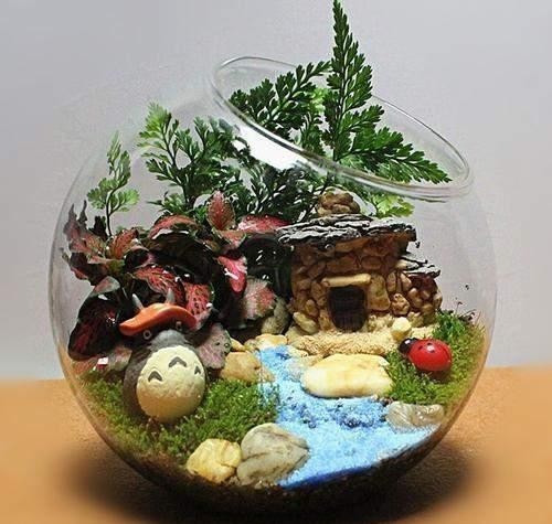 瓶景植株|过年大火的瓶景自己做,一瓶就是一个景观,小小一个真有趣