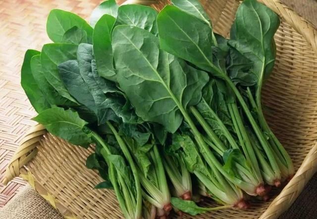 长高|9岁男孩半年长高10cm,儿科医生:4种食物助长高,多给孩子吃一些