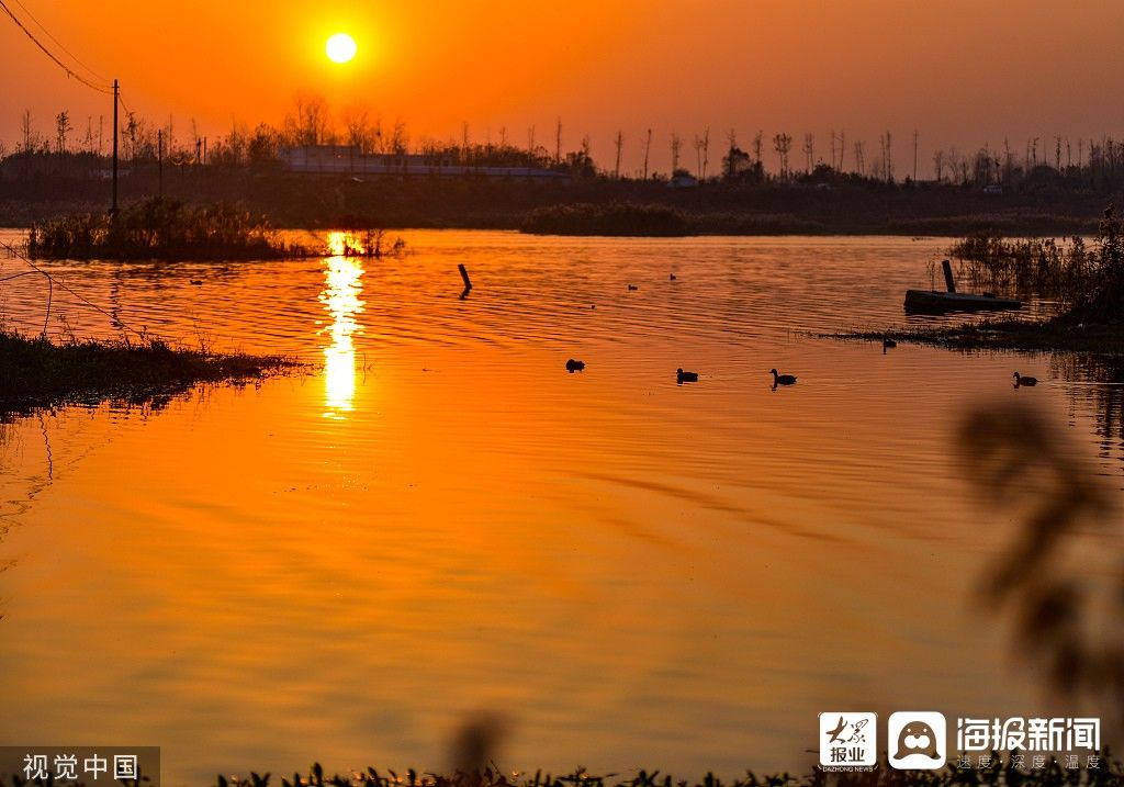 湿地|图看日照｜湿地夕阳红