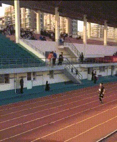 |搞笑GIF:原来我们讨厌的不是广场舞 而是那些大妈