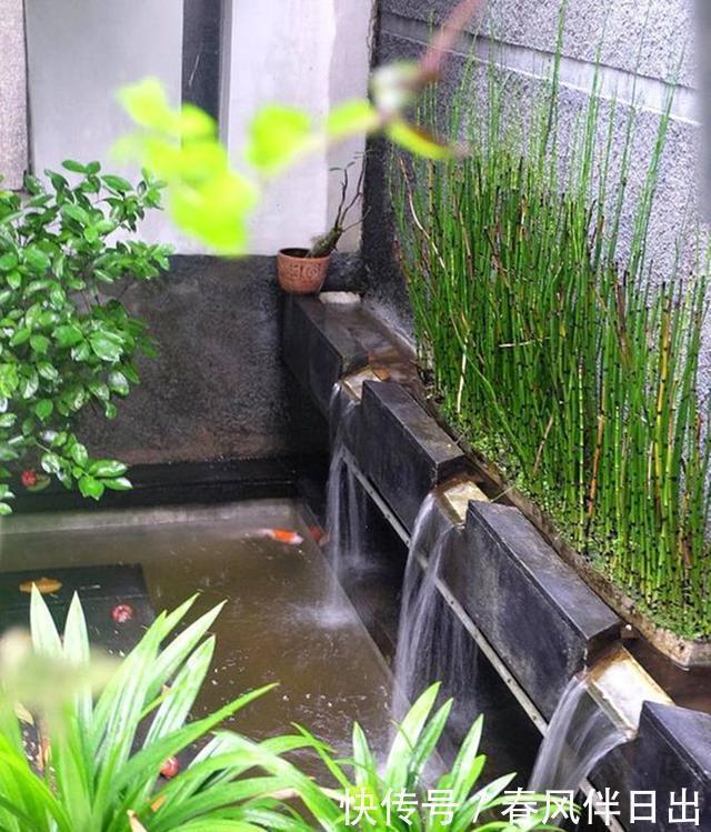 鱼池|若是我家带院子，不会用来种菜，一定要弄个喷泉玻璃鱼池，多亮眼