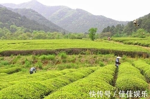 太湖蟹|太湖有四宝、湖畔觅三珍，在浙江南太湖，品尝舌尖湖州的饕餮盛宴